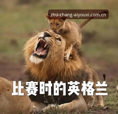 爱游戏比分统计使用技巧 揭秘爱游戏比分统计使用技巧:你以为的实时数据,其实藏着三个隐藏开关